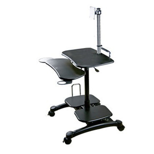 Sit/Stand Mobile PC Workstation w/Monitor Mount